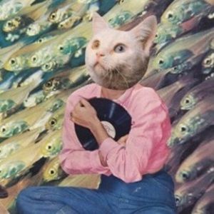 Meet your Posher, Ada